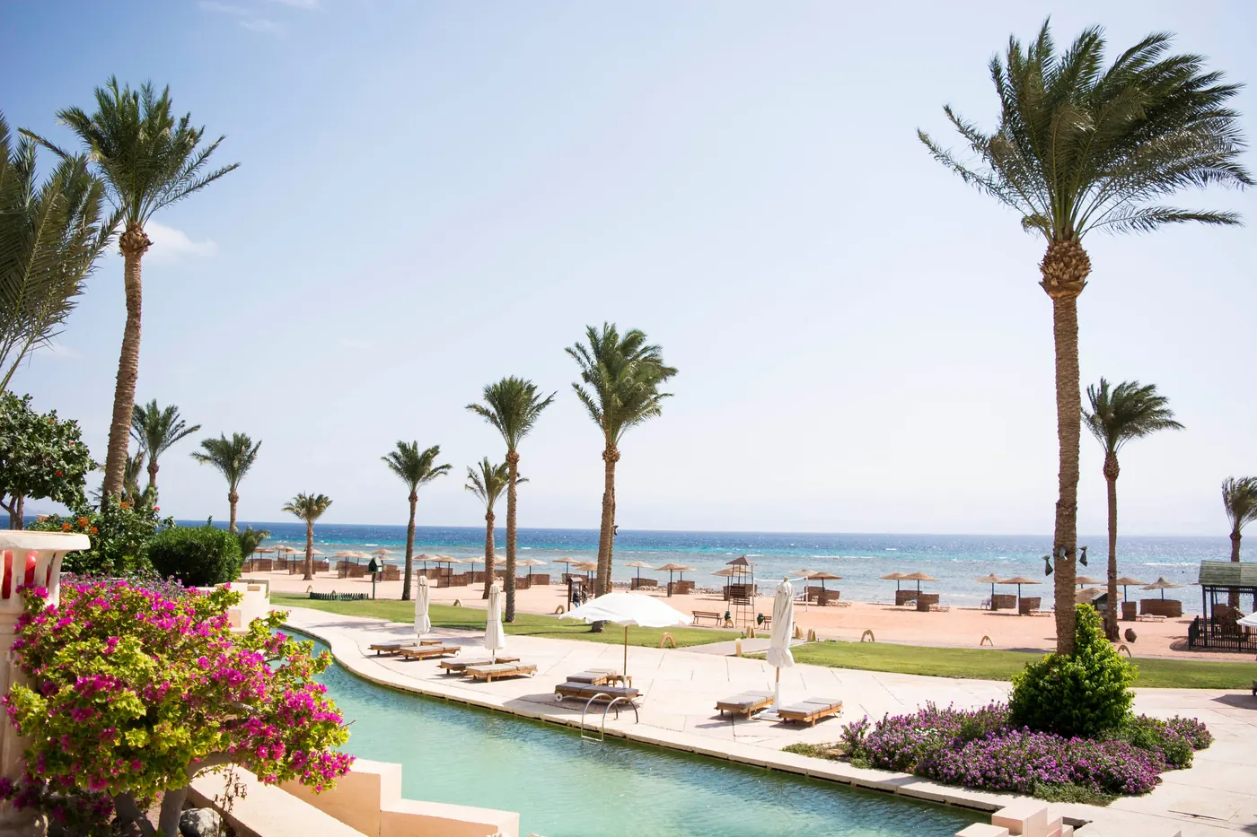 A resort pool and palm trees by the Gulf of Aqaba in Taba