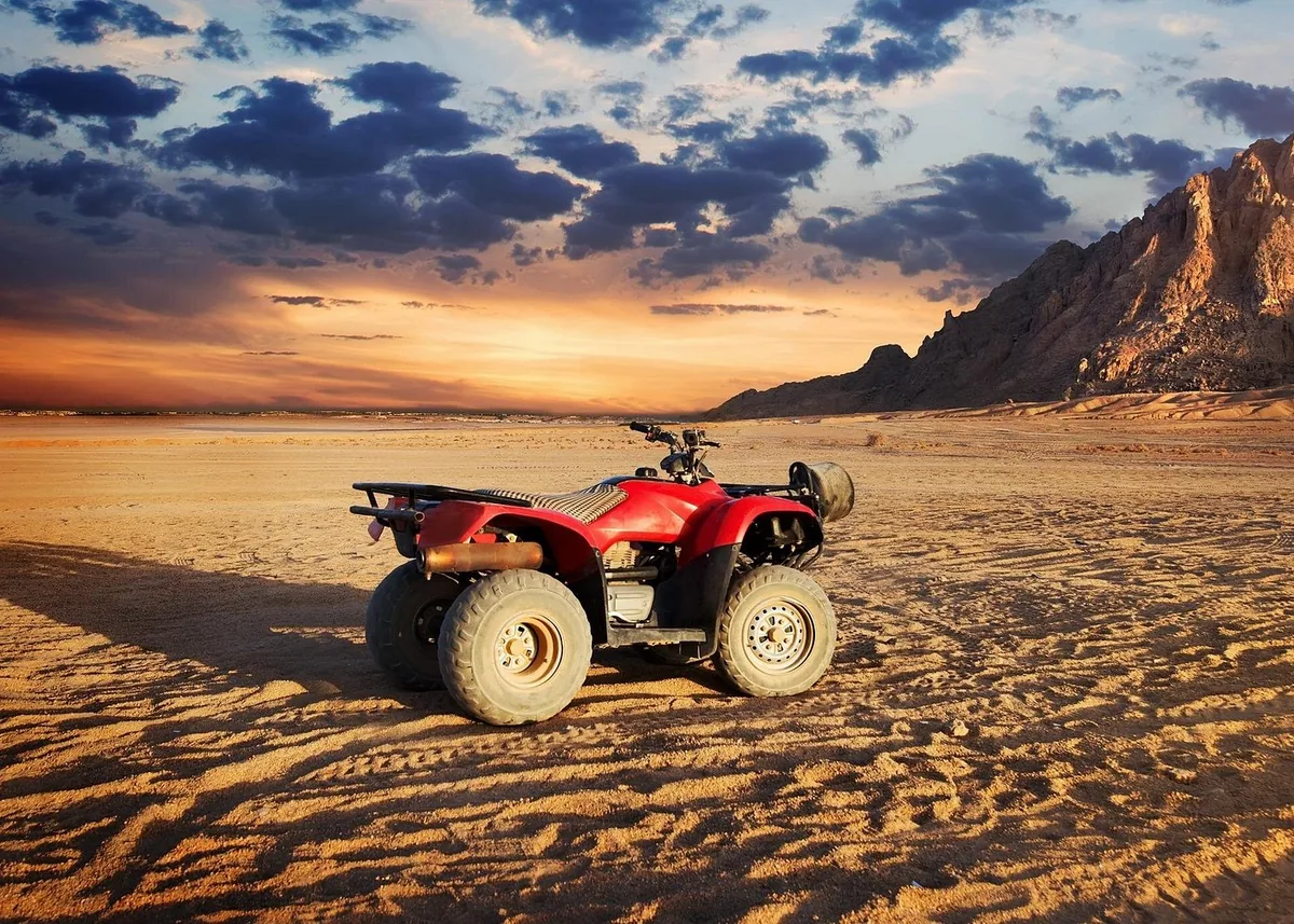 Quad Bike Desert + Bedouin Dinner