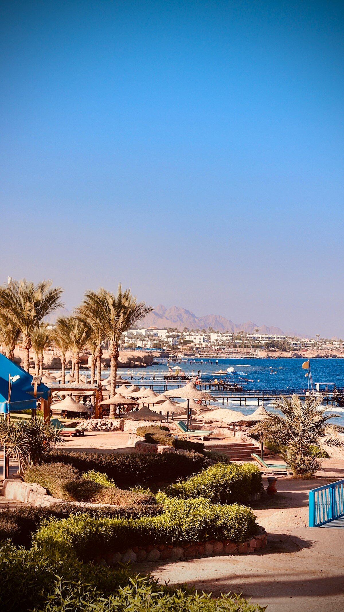 Palm-lined beachfront promenade at Naama Bay, Sharm El Sheikh